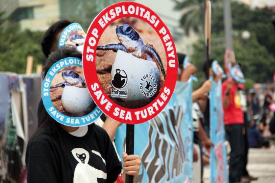 Aksi simpatik kampanye pelestarian penyu di Bundaran HI