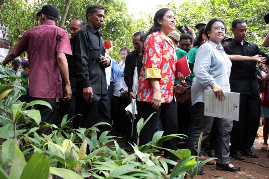 Jokowi temani Mega tanam pohon di Condet