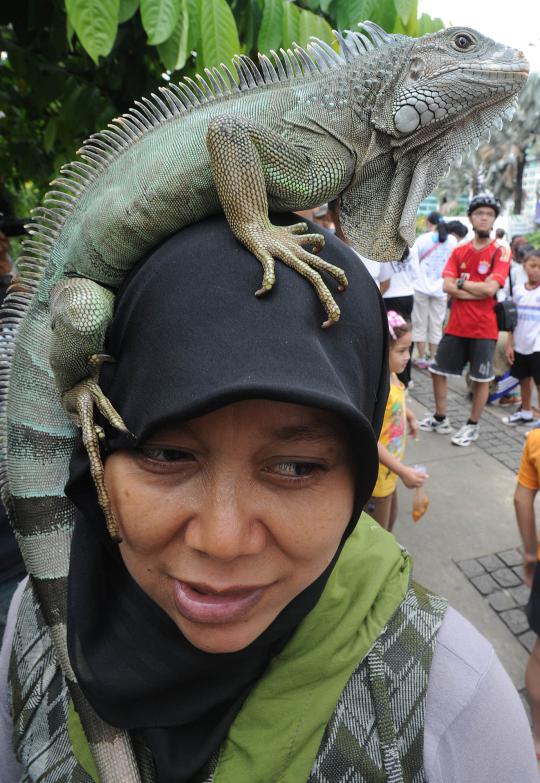 Pecinta iguana perkenalkan reptil peliharaannya di Car Free Day