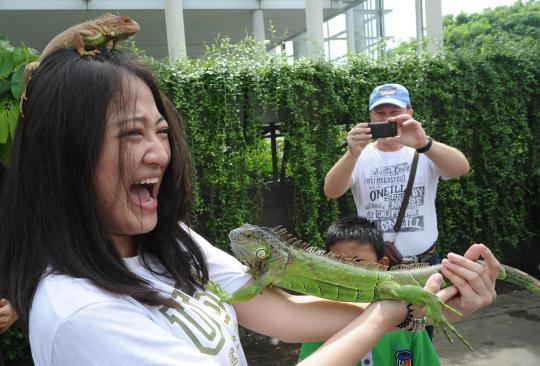 Pecinta iguana perkenalkan reptil peliharaannya di Car Free Day