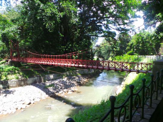 Sejenak rileks di rimbunnya Kebun Raya Bogor