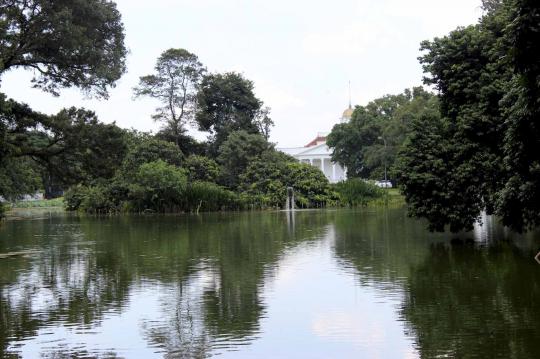 Sejenak rileks di rimbunnya Kebun Raya Bogor