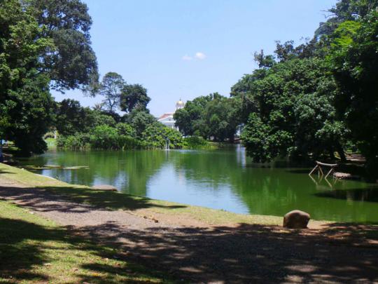 Sejenak rileks di rimbunnya Kebun Raya Bogor