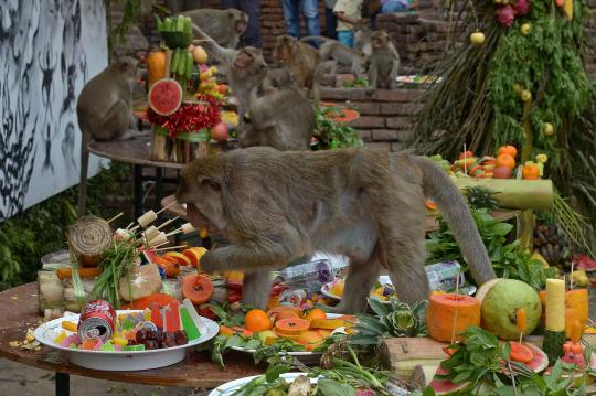 Melihat Monkey Buffet Festival, pestanya monyet-monyet Thailand