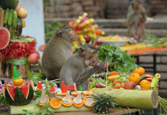 Melihat Monkey Buffet Festival, pestanya monyet-monyet Thailand