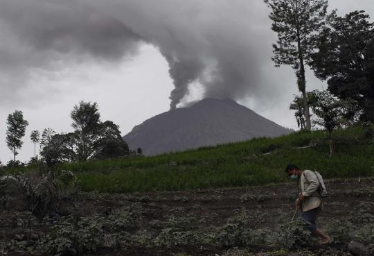 Warga Karo tetap beraktivitas di tengah erupsi Gunung Sinabung