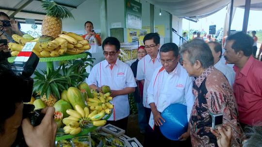Dahlan Iskan ekspor pisang ke Singapura