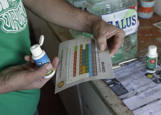 Uruguay legalkan budidaya tanaman ganja di rumah