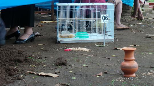 Ini makam wanita yang dicuri kepalanya di Cilacap