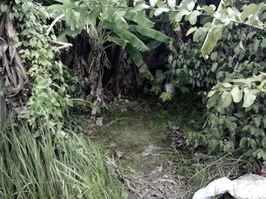 Ini lokasi persembunyian Resi, pencuri kepala mayat di Cilacap