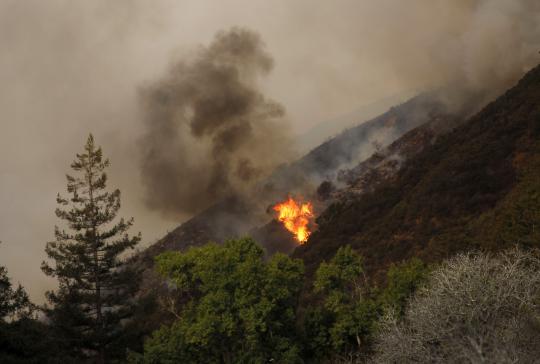 Kebakaran kembali melahap lahan hutan California