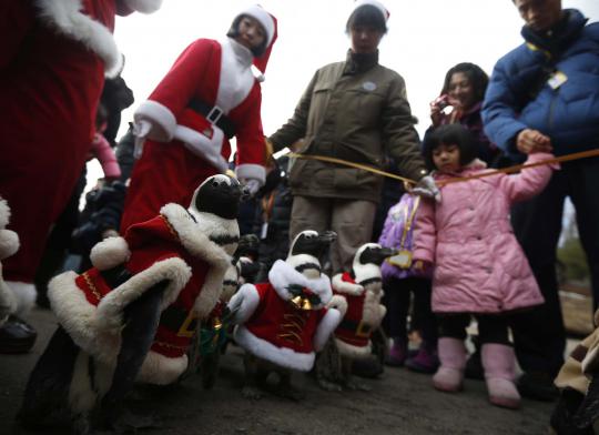 Lucunya aksi penguin berkostum santa claus sambut Natal di Seoul