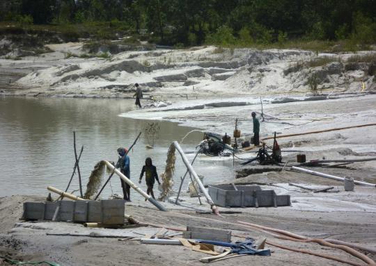 Mengintip aktivitas penambang timah ilegal di Pulau Bangka