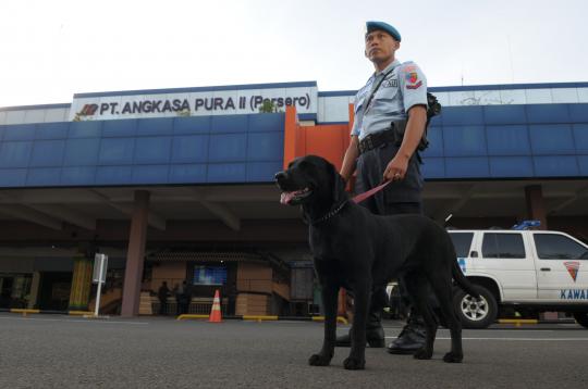 TNI AU turunkan anjing pelacak jaga keamanan Bandara Halim