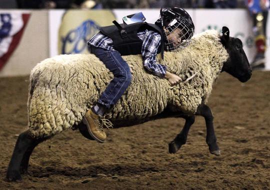 Aksi koboi cilik di National Western Stock Show ke-108