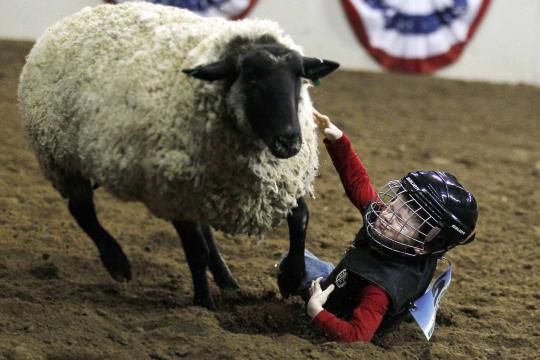 Aksi koboi cilik di National Western Stock Show ke-108