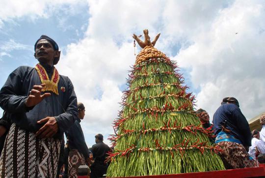 Aksi berebut gunungan warnai perayaan Maulid Nabi di Yogyakarta