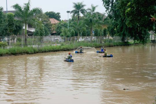 Aksi nekat warga mencari ikan di Kalimalang