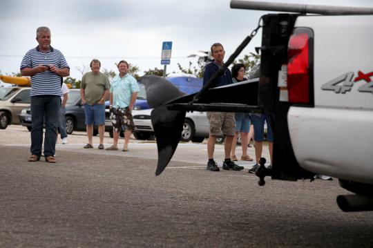 Sekelompok Paus Pilot ditemukan mati terdampar di pantai Florida