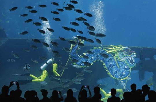 Sambut Imlek di Singapura, barongsai naga beraksi di bawah laut