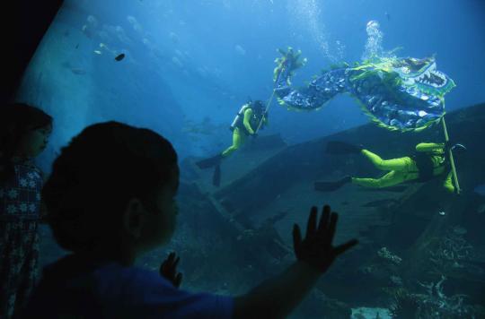 Sambut Imlek di Singapura, barongsai naga beraksi di bawah laut