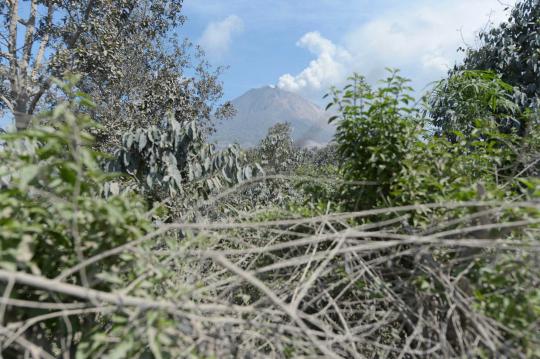 Tim SAR temukan barang Rizal, jurnalis yang tewas di Sinabung