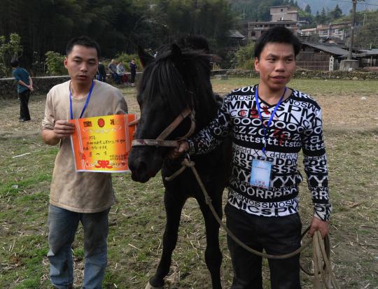 Kompetisi gulat kuda di China