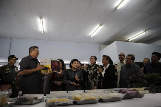 SBY tinjau pabrik ubi Naruto di Kuningan