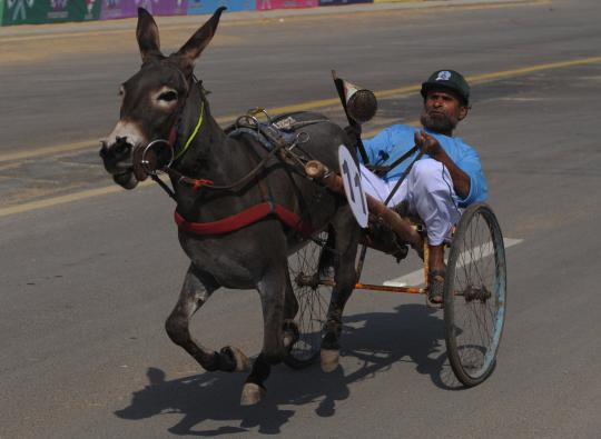 Uniknya lomba balap keledai di Pakistan