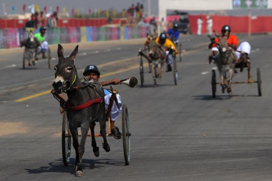 Uniknya lomba balap keledai di Pakistan