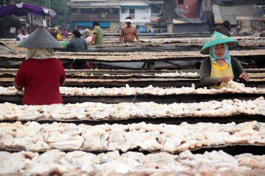 Musim penghujan, produksi ikan asin merosot