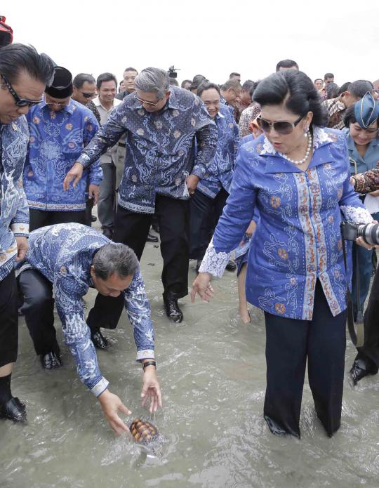 Hari Pers Nasional, SBY lepaskan penyu di Pantai Tapak Paderi