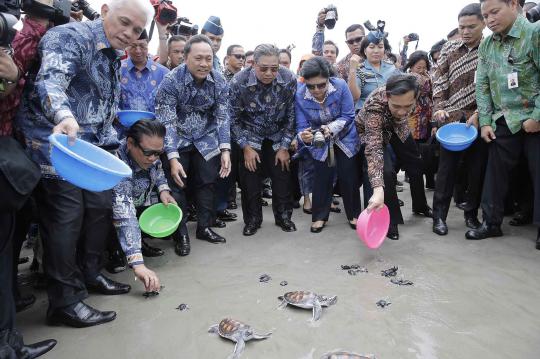 Hari Pers Nasional, SBY lepaskan penyu di Pantai Tapak Paderi