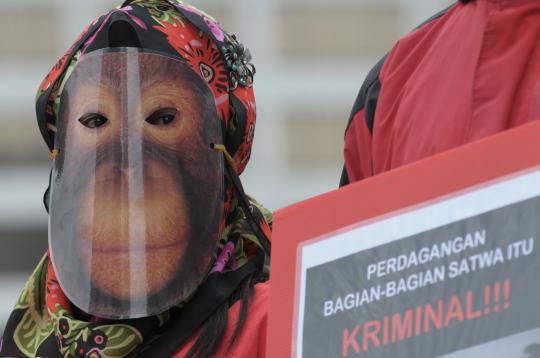 Aksi simpatik anti perdagangan satwa liar dilindungi