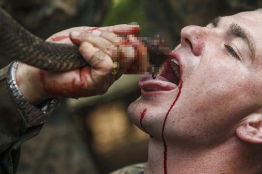 Marinir AS latihan bareng TNI minum darah cobra