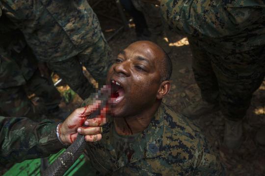 Marinir AS latihan bareng TNI minum darah cobra