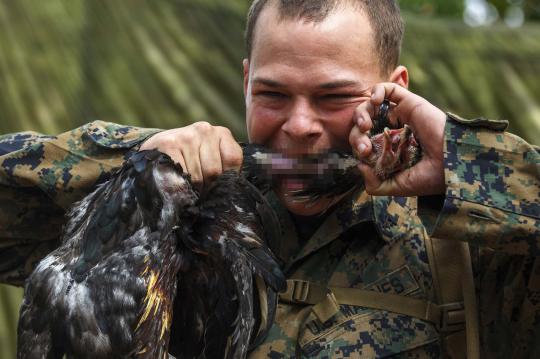 Marinir AS latihan bareng TNI minum darah cobra