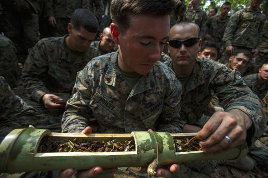 Marinir AS latihan bareng TNI minum darah cobra