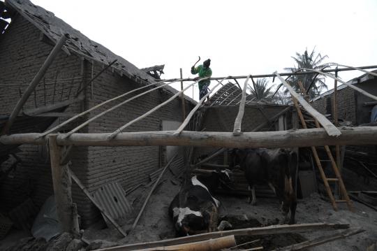 Derita warga Putut Malang yang rumahnya hancur akibat abu Kelud