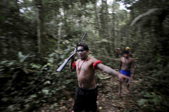 Aksi suku pedalaman berburu penambang emas liar di Hutan Amazon