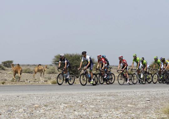 Lucunya seekor unta halangi jalan balap sepeda Tour of Oman