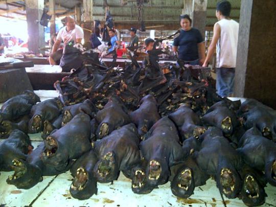 Menengok pasar makanan ekstrem Tomohon