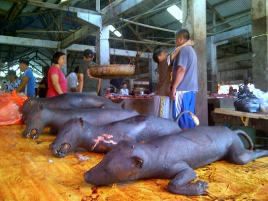 Menengok pasar makanan ekstrem Tomohon