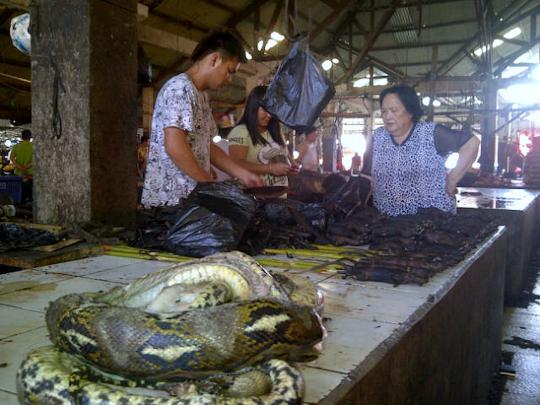 Menengok pasar makanan ekstrem Tomohon
