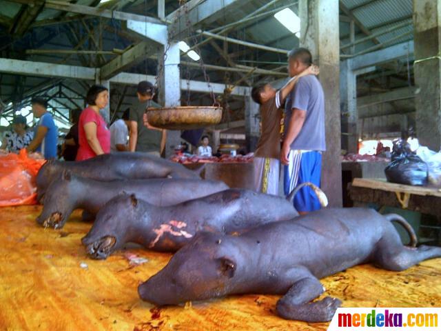 Foto : Menengok pasar makanan ekstrem Tomohon merdeka.com