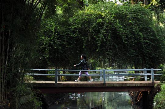 Asyiknya jogging di tengah asrinya Taman Langsat