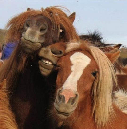 Foto-foto selfie yang unik dan lucu