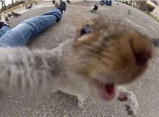 Foto-foto selfie yang unik dan lucu
