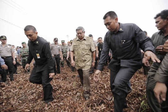 Tinjau hutan di Riau, SBY beri waktu tiga pekan atasi kabut asap