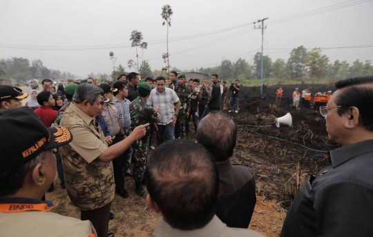 Tinjau hutan di Riau, SBY beri waktu tiga pekan atasi kabut asap